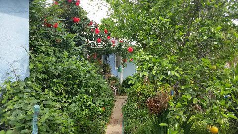 Anita Sands' Cottage in RESEDA