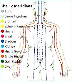 Image result for Chinese tendon meridians chart