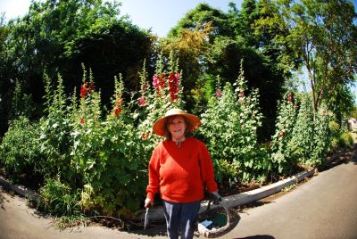 anita sands hernandez, gardener, mother,
                      catlady