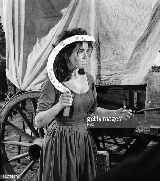 Anita Sands Hernandez in BONANZA tv
                          western