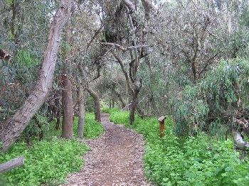 FARMING IN CALIFORNIA... wisdom of