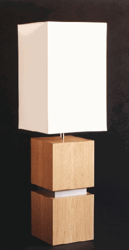 THE
                    INVENTION of a BULLETIN BOARD that serves as a LAMP
                    on your desk, the LIGHT YOUR WAY TO SUCCESS LAMP!