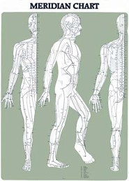 Liver Meridian Chart