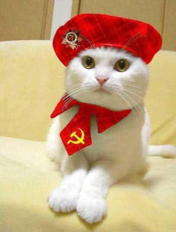 commie kitty says PUTIN is not a VERY big
                      killer